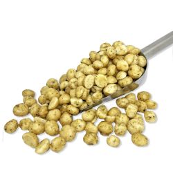 Seaweed & Wasabi Macadamias 500g